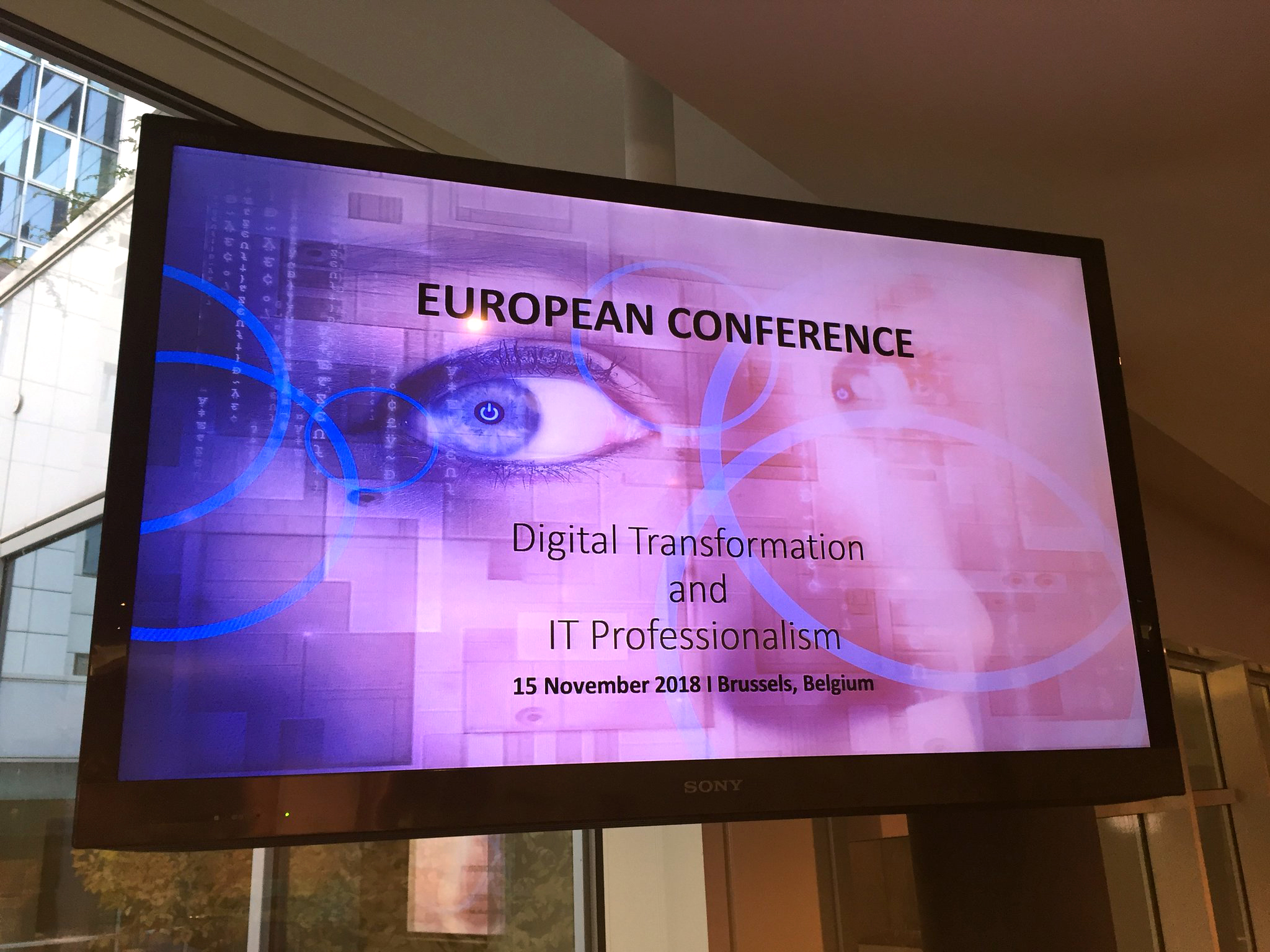 International Conference on EU Skills, Digital Transformation and IT Professionalism