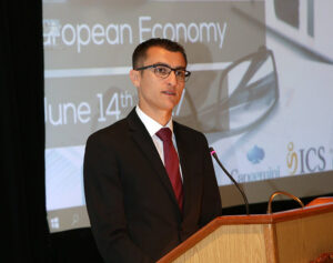 The Impact of IT Professionalism on the European Economy