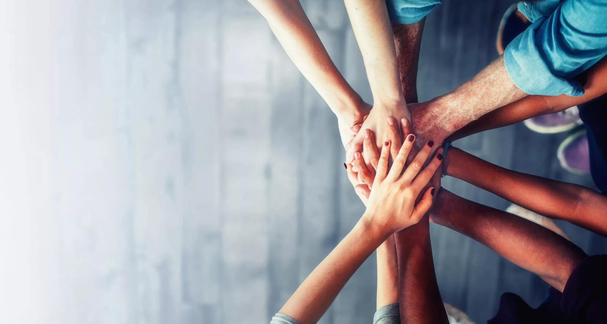 Digital skills initiative