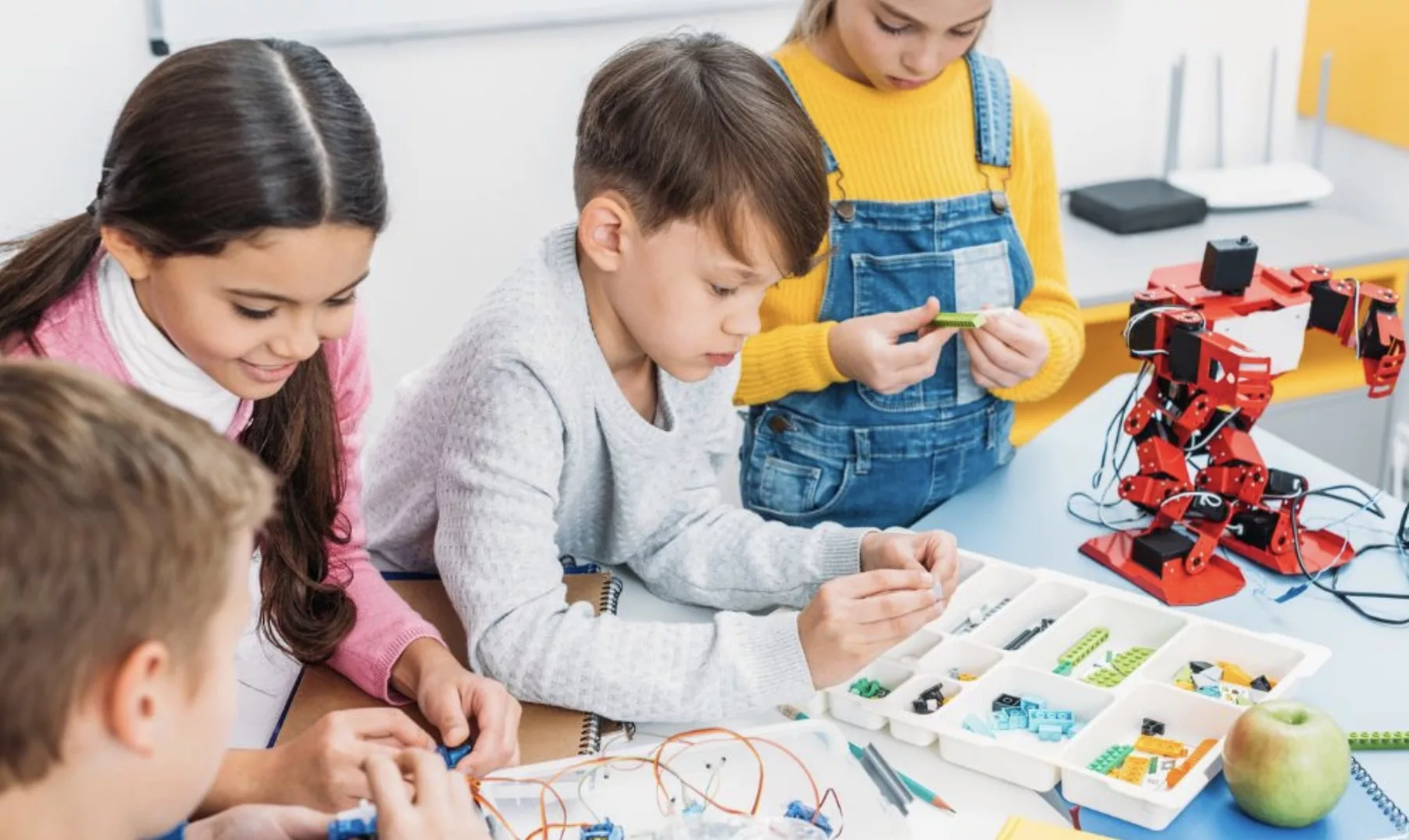 Guidelines for STEM disciplines