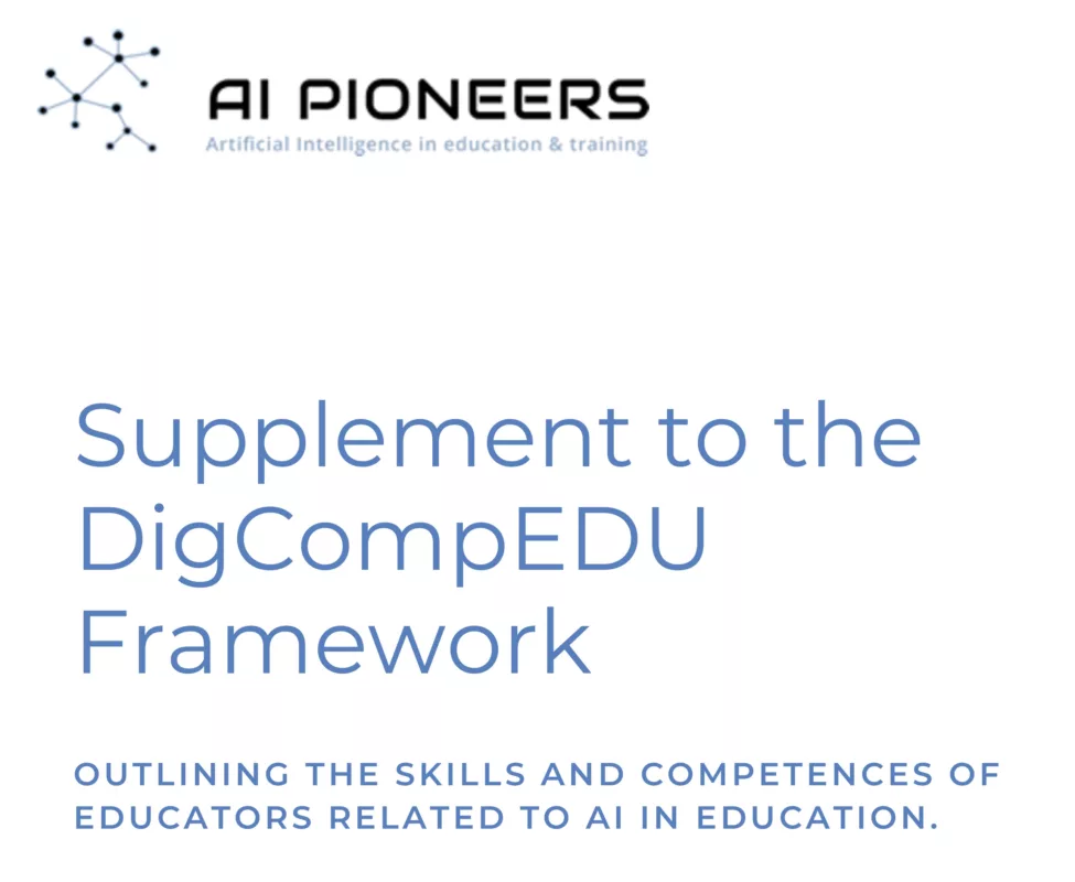 Supplement to the DigCompEDU Framework