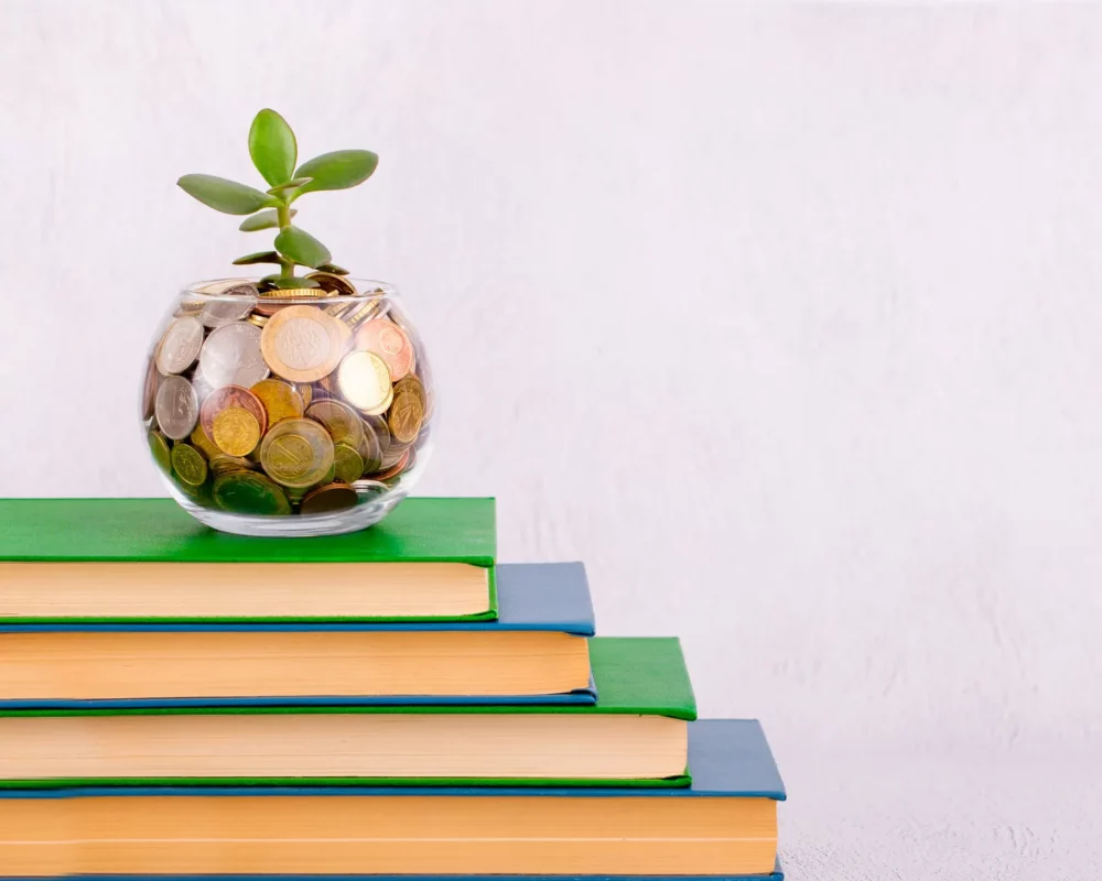 Advancing Adult Skills through Individual Learning Accounts